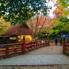 Mizuya Chaya User Photo
