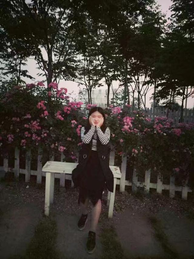 프로방스 라벤더장원
