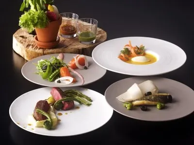 博斯科艾爾諾吉里可酒店