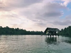 Mangrove Cave