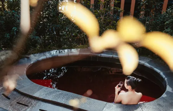 瀘州天展溫泉水會溫泉票2人