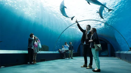 Yokohama Hakkeijima Sea Paradise