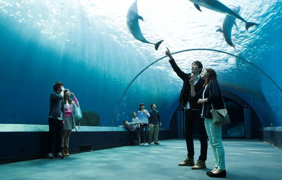 Yokohama Hakkeijima Sea Paradise