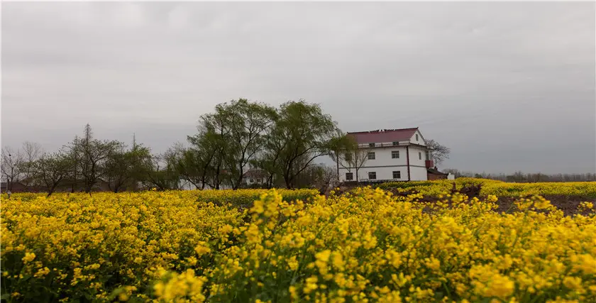 Chaohewan Ecological Garden