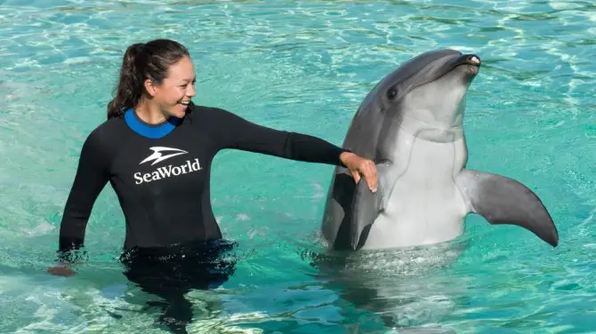 5_SeaWorld San Diego