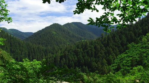 Xinglongshan Natural Reserve