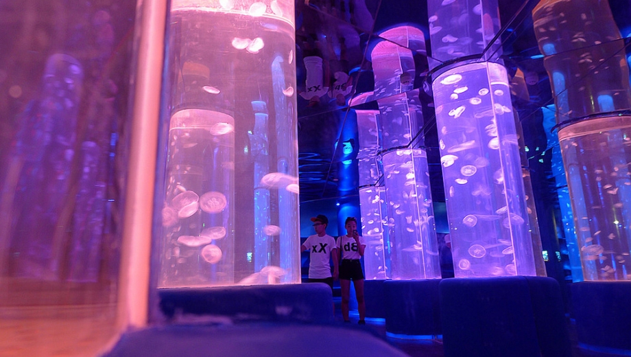 歡樂海岸海洋奇夢館