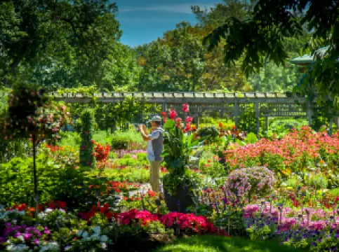 Jardin botanique de Montréal