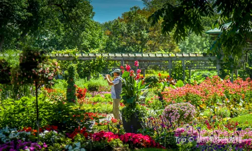Botanischer Garten Montreal