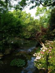 Gaomei Botanical Garden