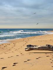 Irakli Beach