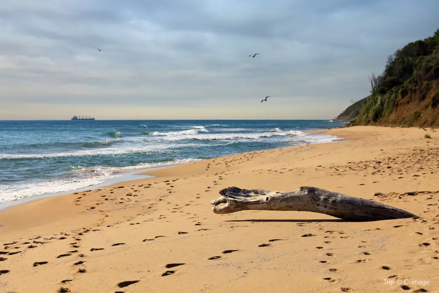 Irakli Beach