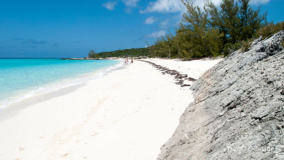 Pig Beach