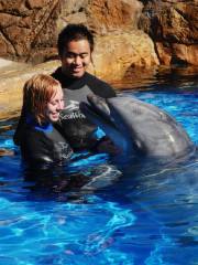 SeaWorld San Diego