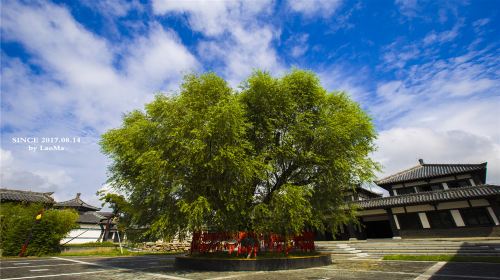 孫子文化園