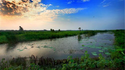 Weishan Lake National Wetland Scenic Area