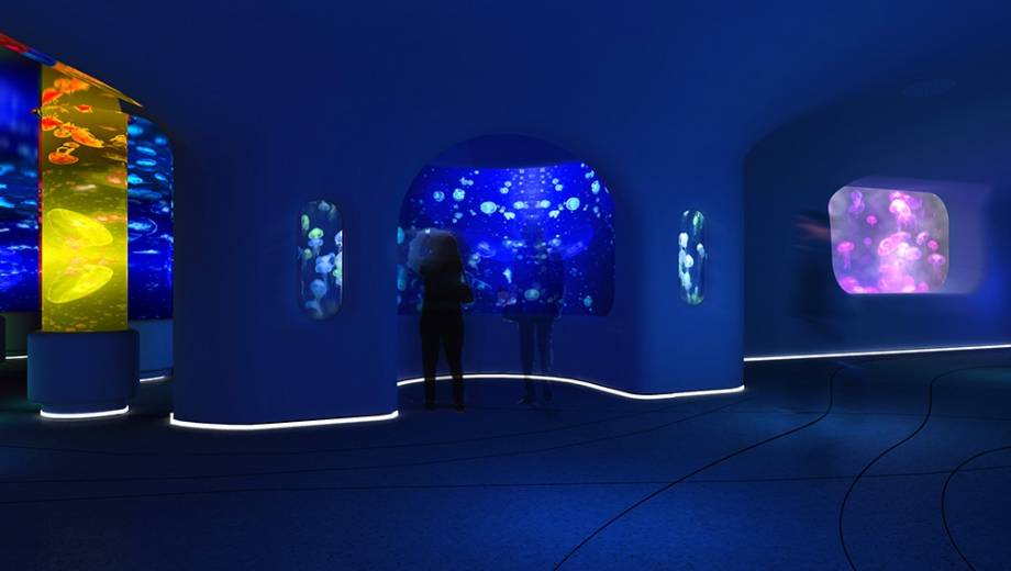 Happy Coast Ocean Fantasy Museum + Dameisha Seaside Park + Shenzhen Bay Park + Zhongying Street One-day Tour