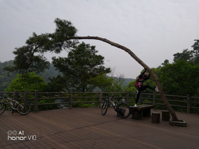 메이펑다오