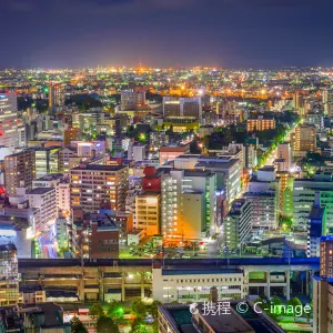 【東京去仙台】2026仙台火車旅行指南：從東京出發，輕鬆規劃仙台路線