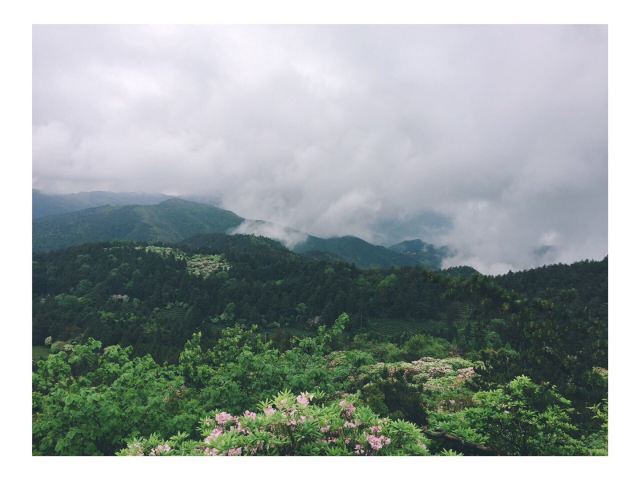 화딩 국가산림공원