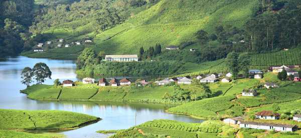 Villas in Kerala, India