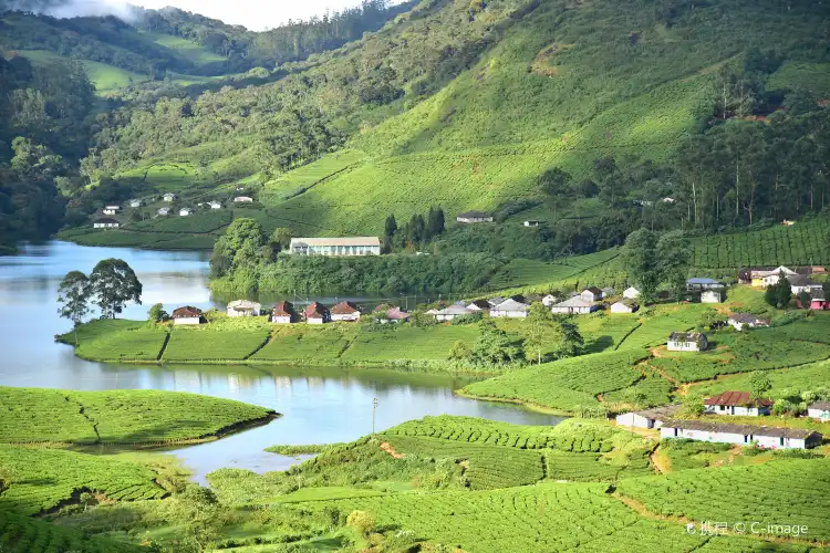 nhà trọ tại Kerala, Ấn Độ