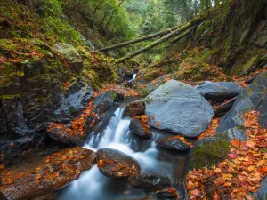 타이루거 국가공원