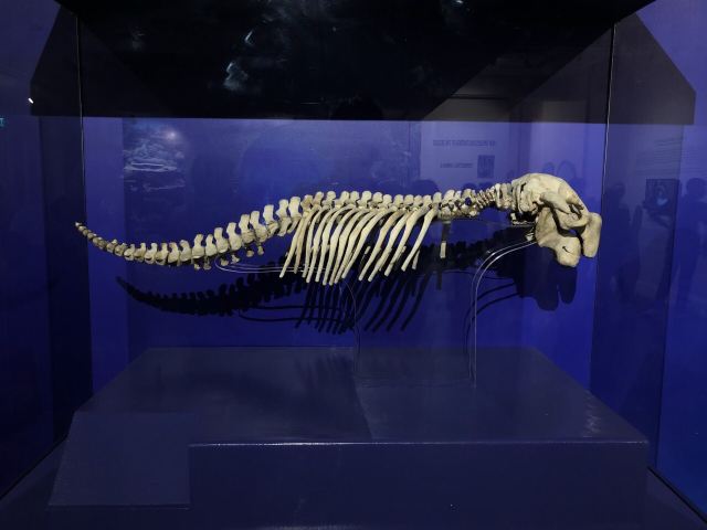 국립 박물관