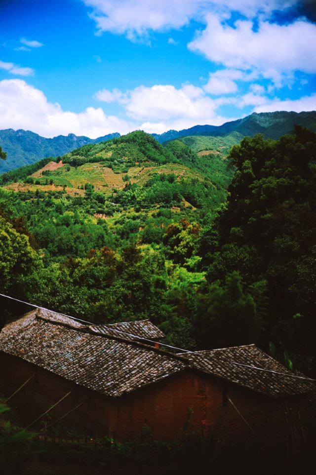楊家堂村