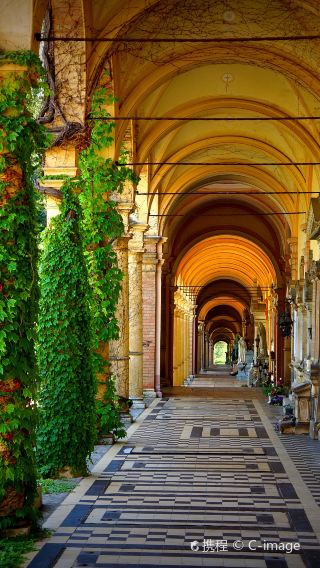 Private charter to Lotrscak Tower, Mirogoj cemetery, Museum of Broken Relationships, and Museum of Contemporary Art in Zagreb