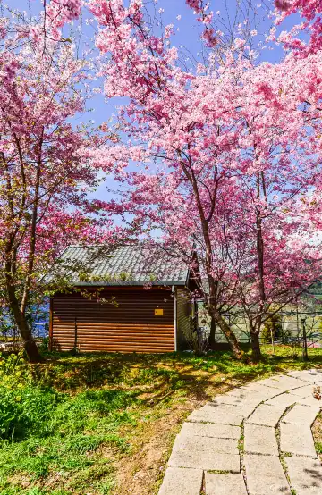 Hotels near Lala Shan National Forest Recreation Area