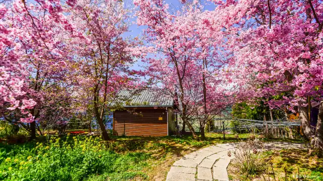 Hotels near Lala Shan National Forest Recreation Area