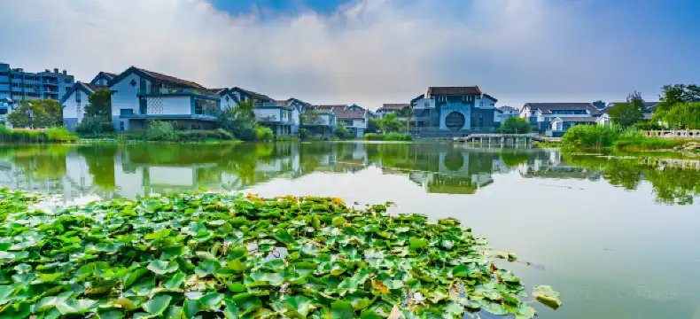 โรงแรมShellในไซโบ้