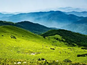 Liaoheyuanguojia Forest Park