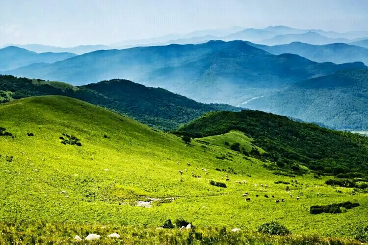 Liaoheyuanguojia Forest Park