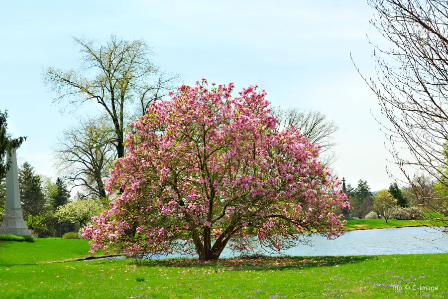 Spring Grove Cemetery & Arboretum