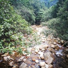 姑婆山野猪坳柴火饭 User Photo