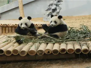 大連森林動物園