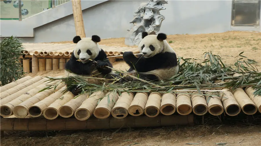 大連森林動物園