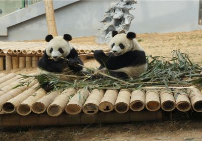 大連森林動物園