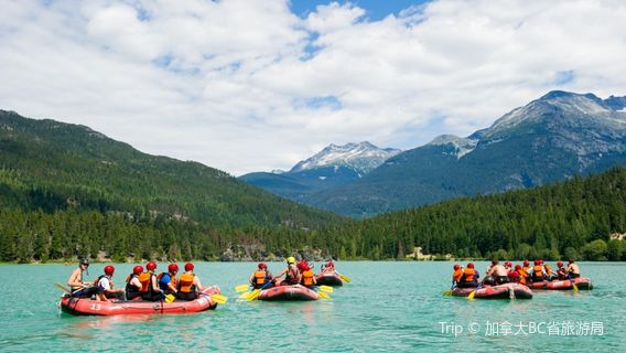 Whistler