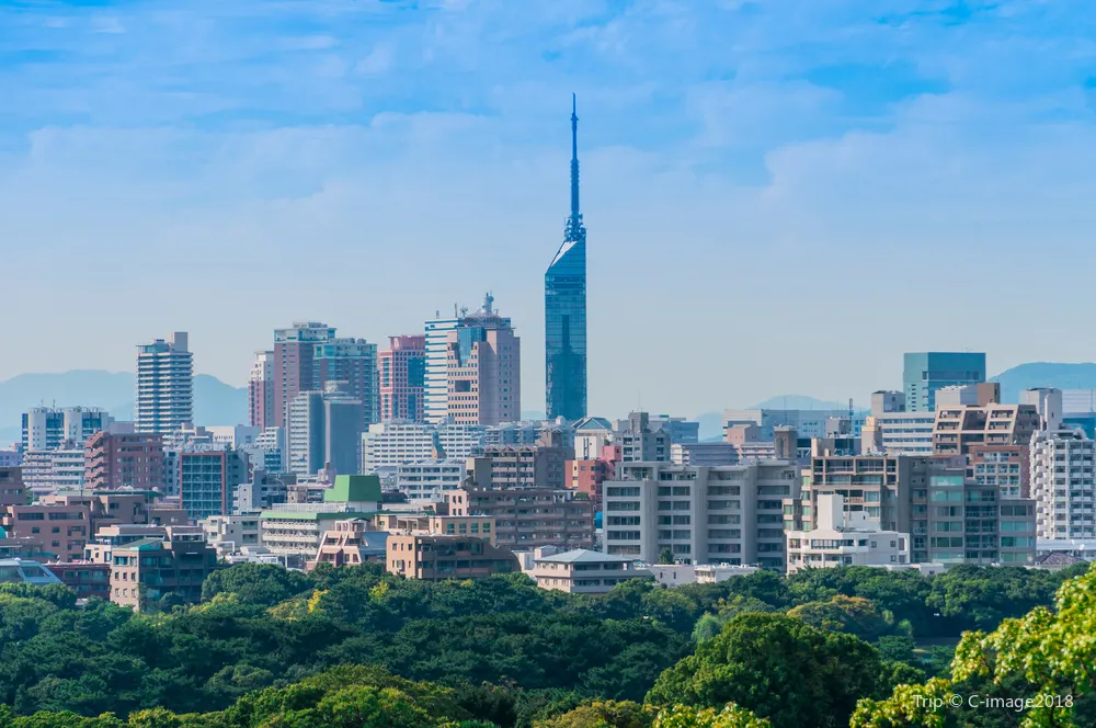 4_สวนไมซูรุ