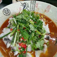 年年有鱼 User Photo