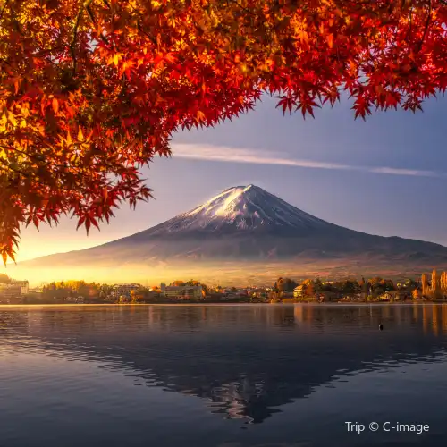 Popular Fall Viewing Attractions in Fuji City