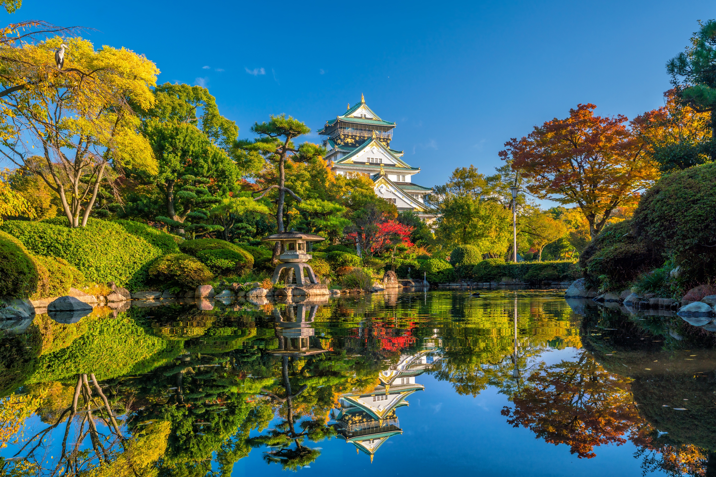 Hotel dekat The Main Tower of Osaka Castle