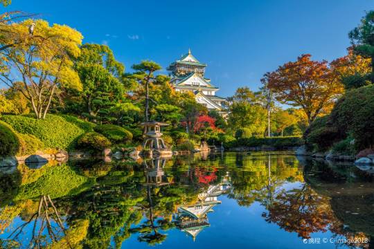 Osaka Castle Castle + Umeda Sky Building + Osaka Castle Park + Kuromon Market + Tempozan Ferris Wheel one-day tour