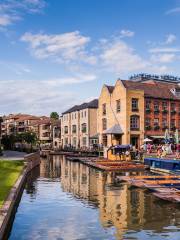 Viện Ðại học Cambridge