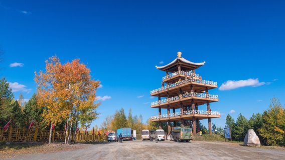 Nine Curves and Eighteen Turns