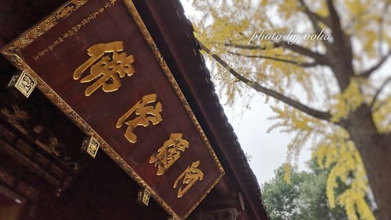 ChengduTours
