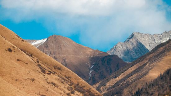 鷓鴣山